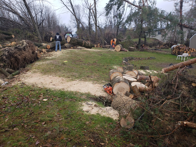 /pictures/Trail Clean Up 2018/20181104_084346.jpg